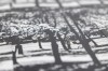Fotografijų knyga „Būtasis Pietinis“